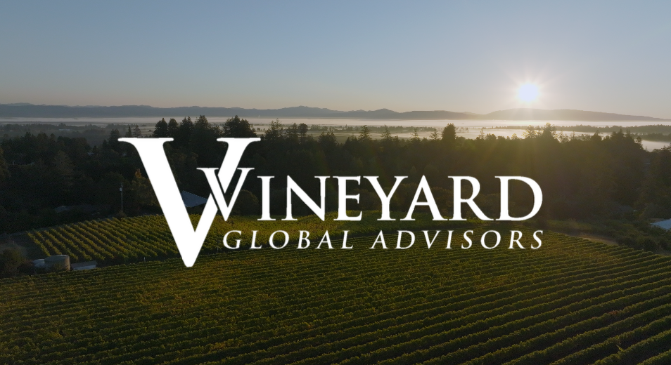Vineyard Global Advisors Brand Video